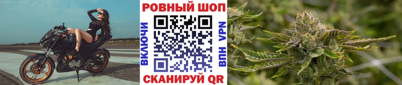 Цена Александровск ГАШ  omg как зайти  Меф  Кокаин  СК  Псилоцибиновые грибы 