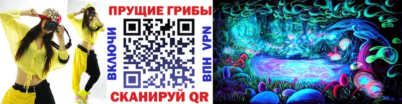 OMG маркетплейс  Александровск  Галлюциногенные грибы ЛСД  купить  